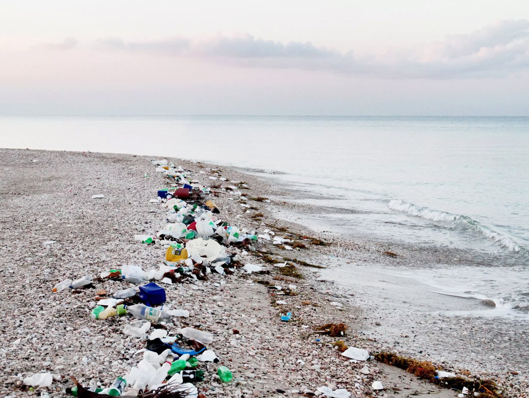 Batoko - Plastic In Our Ocean