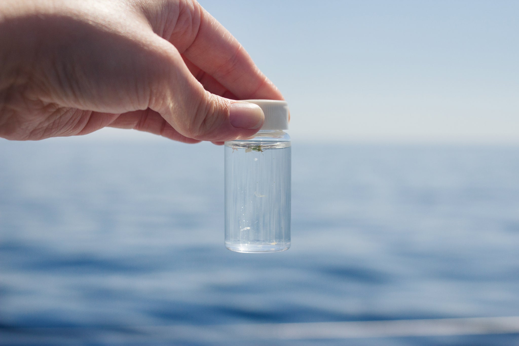 What Are Microfibers + Why Are They A Problem?
